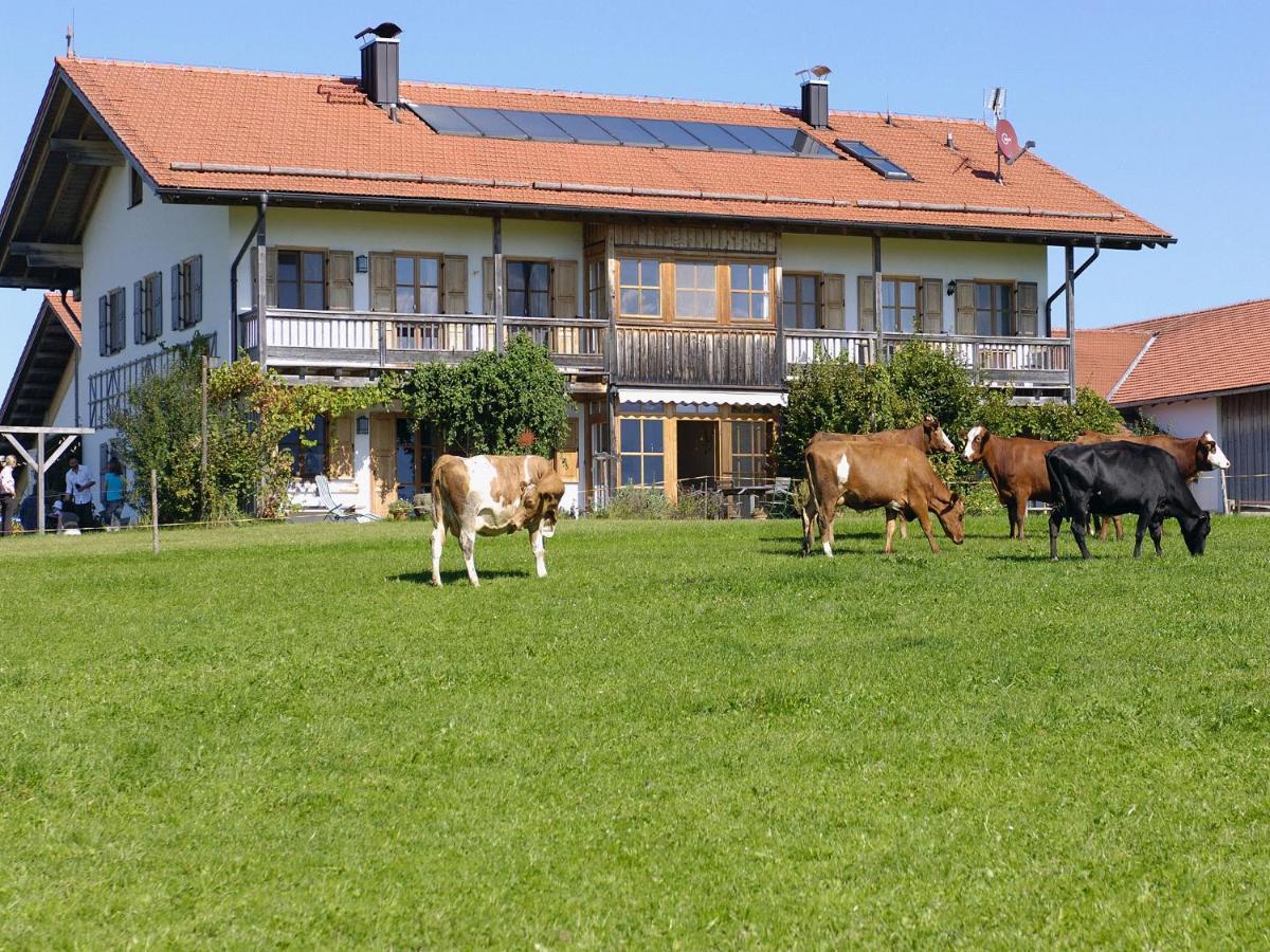 Seeleitenhof Sindelsdorf المظهر الخارجي الصورة